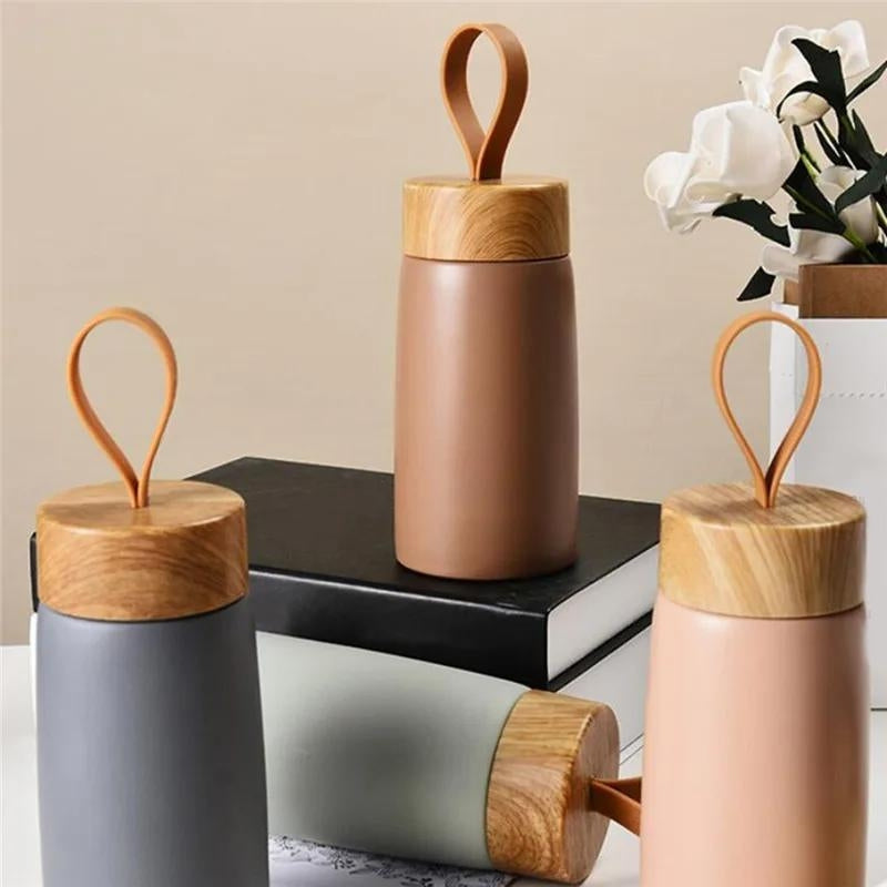 gourde isotherme en avion - Marron - Rose - Vert - Gris